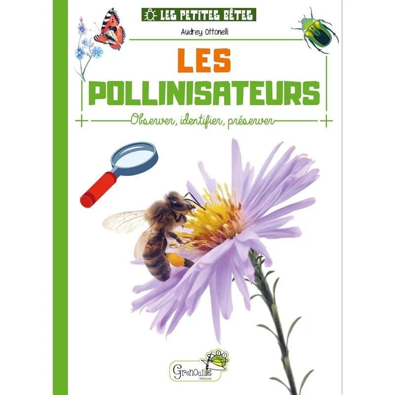 apiculture-remuaux1598802
