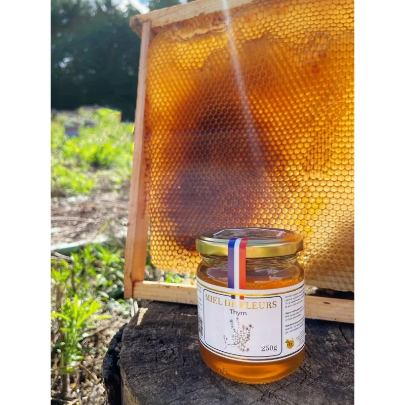 apihappy1803349