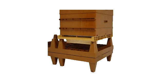 apimiel1819823