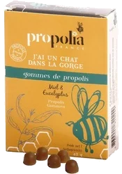 apimiel1828444