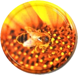 apimiel1832001