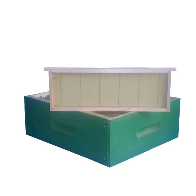 apistore1595870