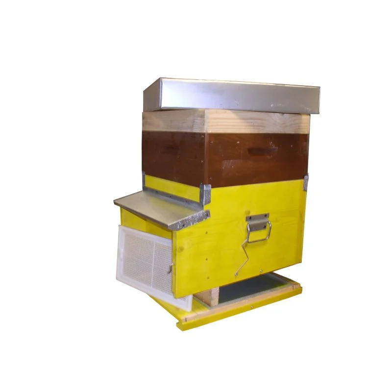 apistore1595930
