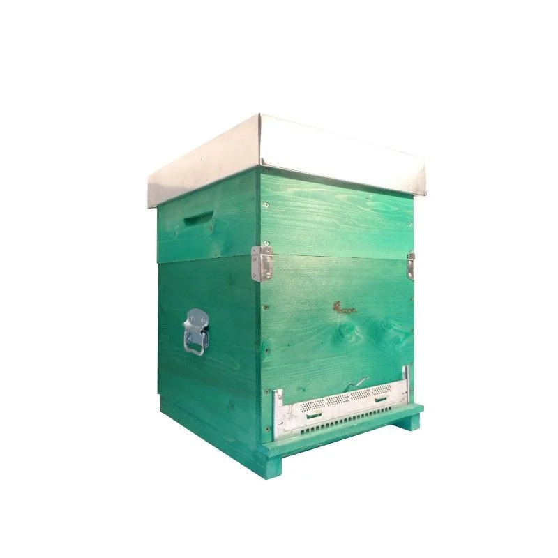 apistore1612335
