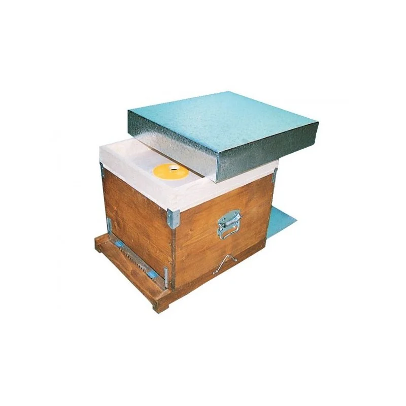 apistore1612345