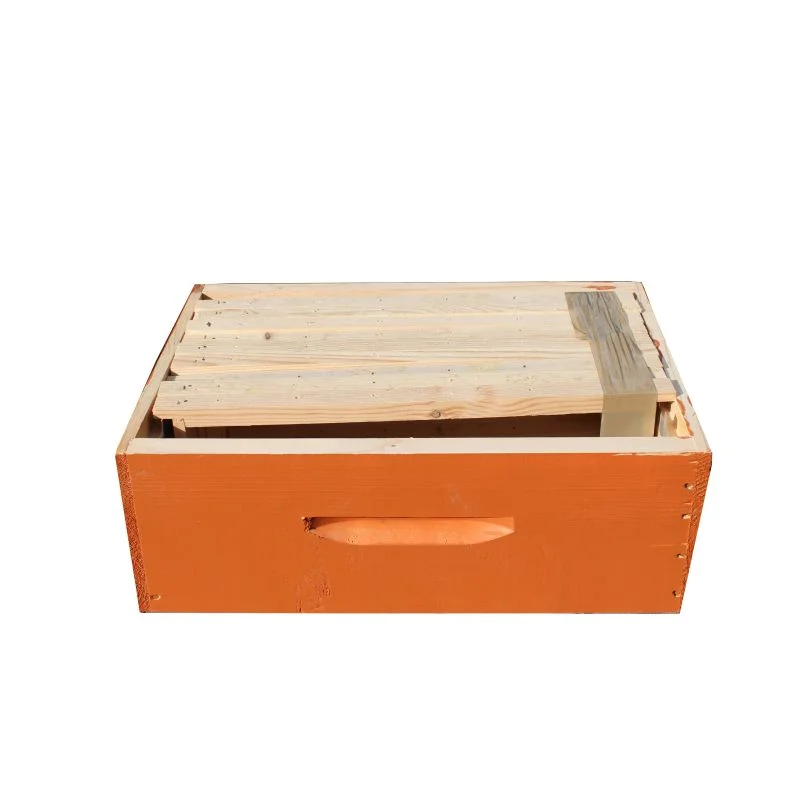 apistore1612997
