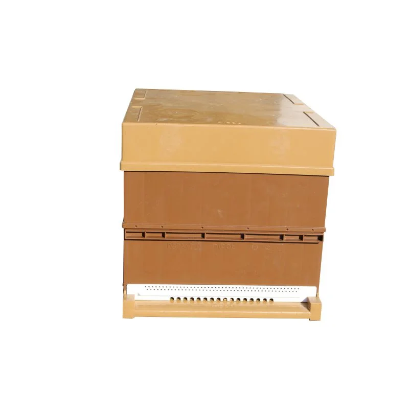 apistore1613414