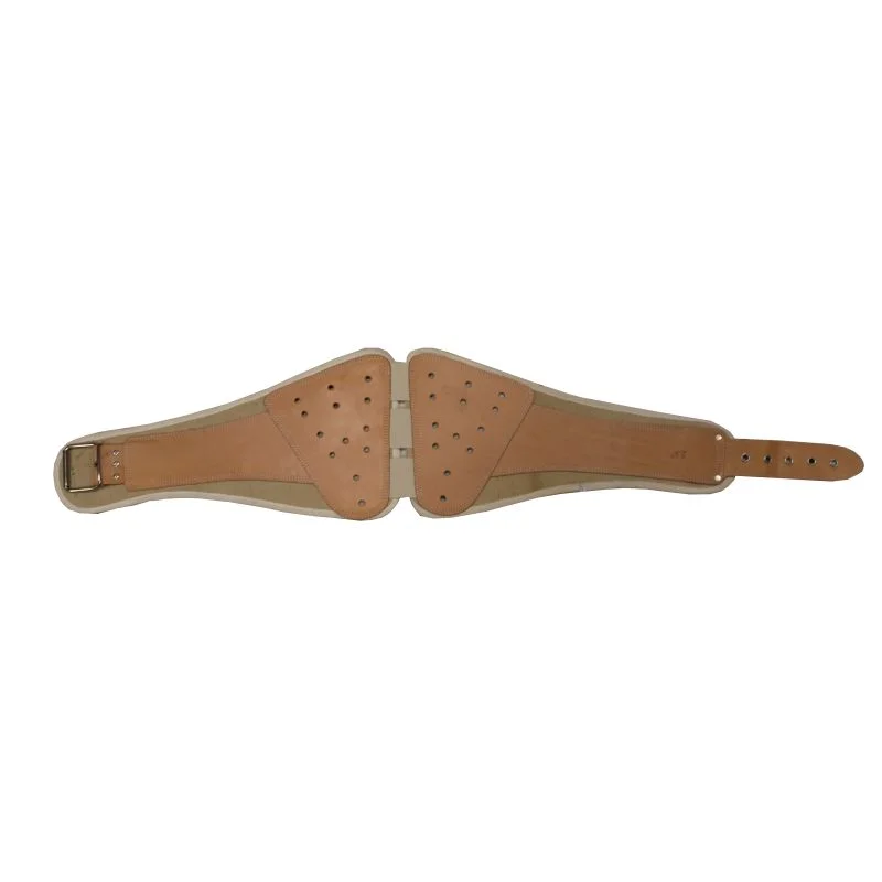 apistore1613693