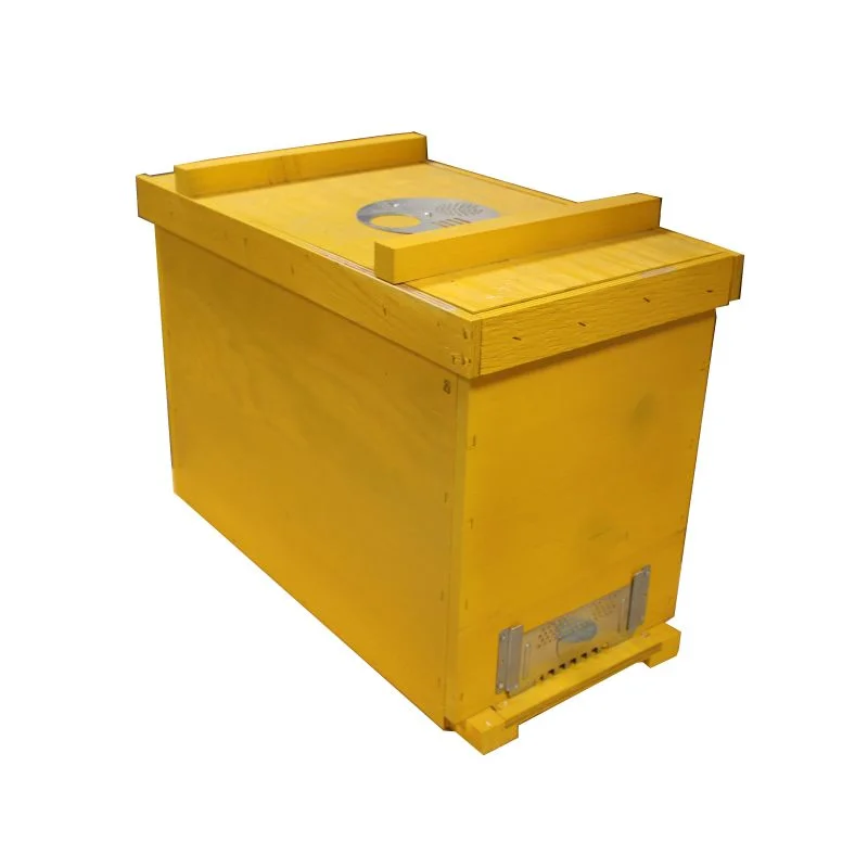 apistore1614058