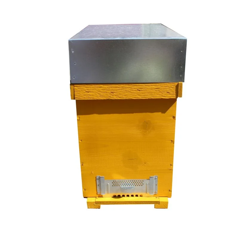 apistore1614070