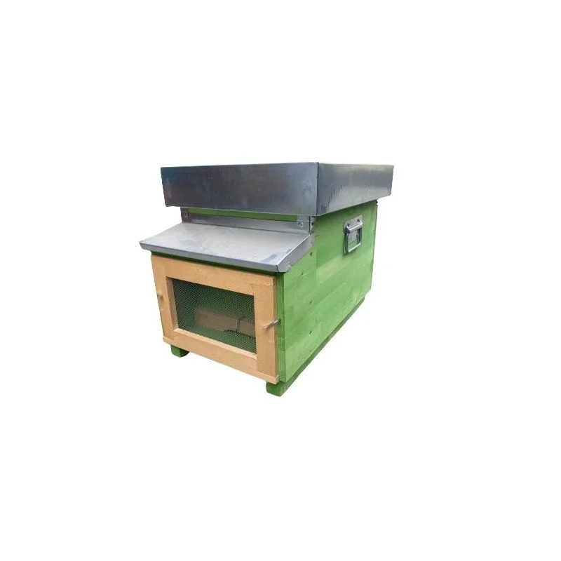 apistore1615897