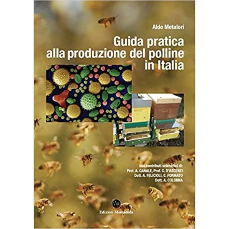 apistore1616097