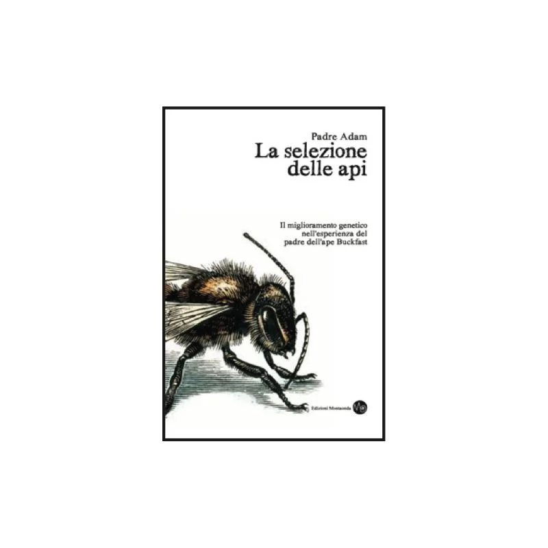 apistore1616134