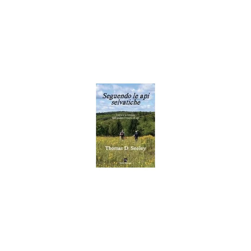 apistore1616162