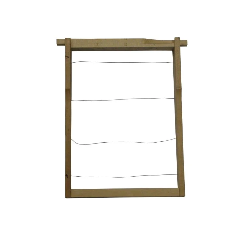 apistore1616332
