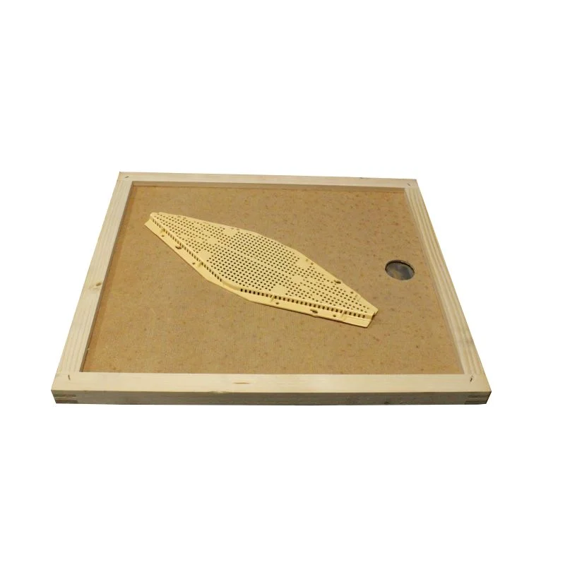 apistore1616453