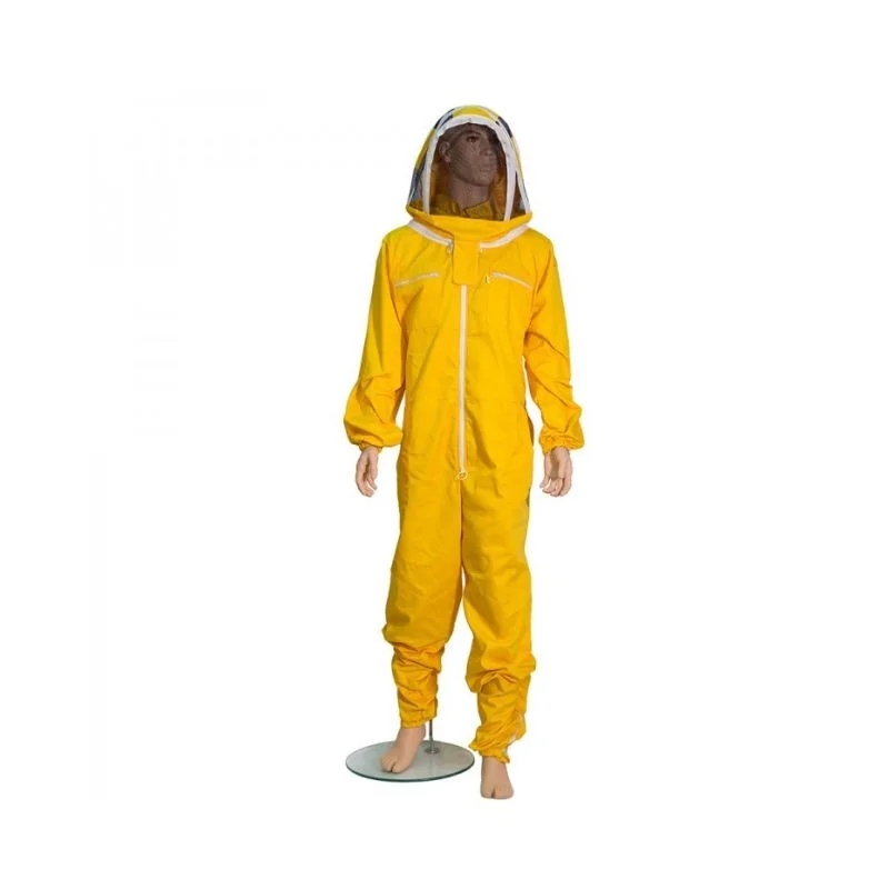 apistore1616831
