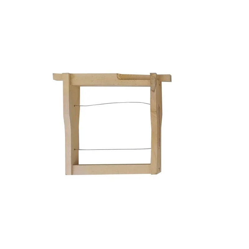 apistore1617569