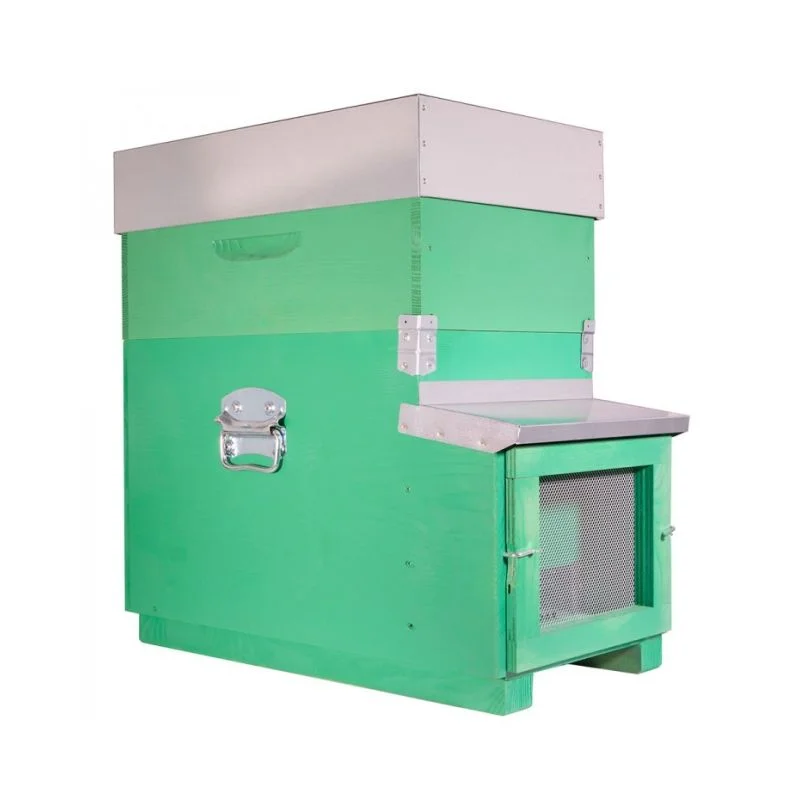 apistore1617639