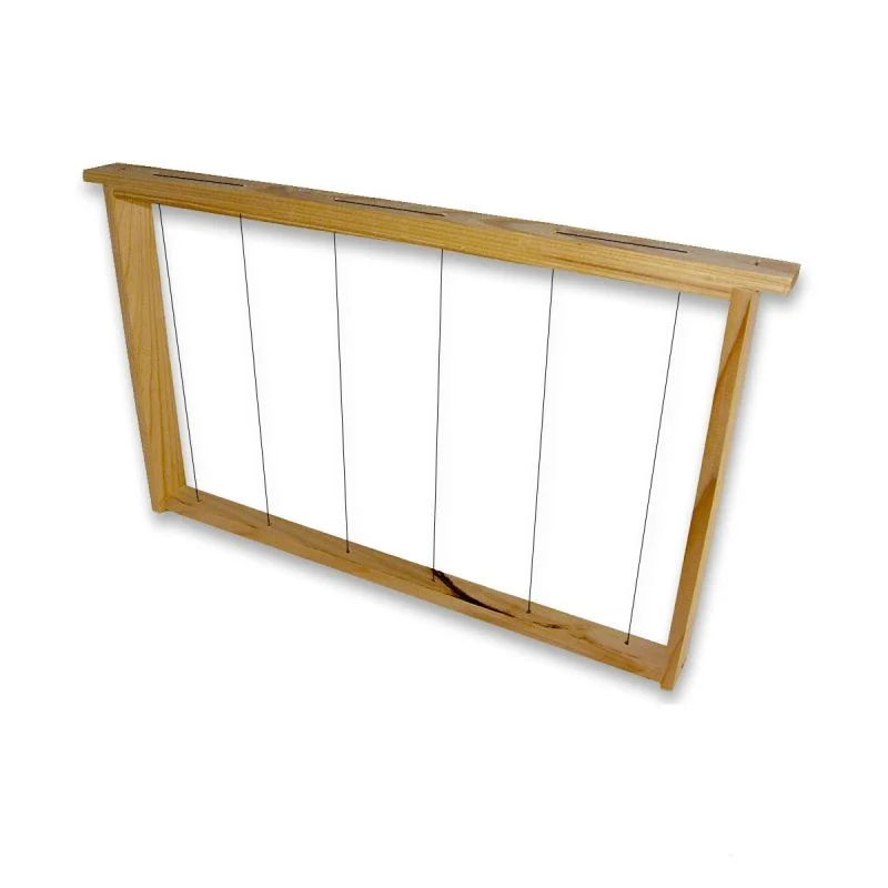 apistore1617646