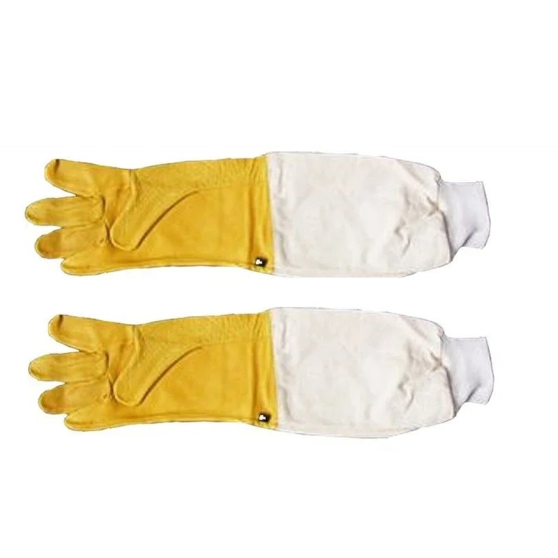 apistore1618700