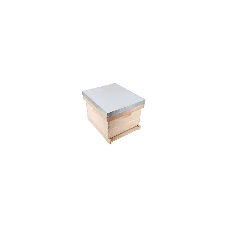 apistore1618768
