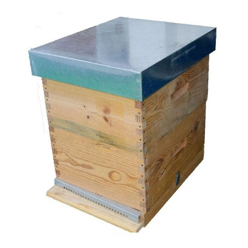 apistore1618807