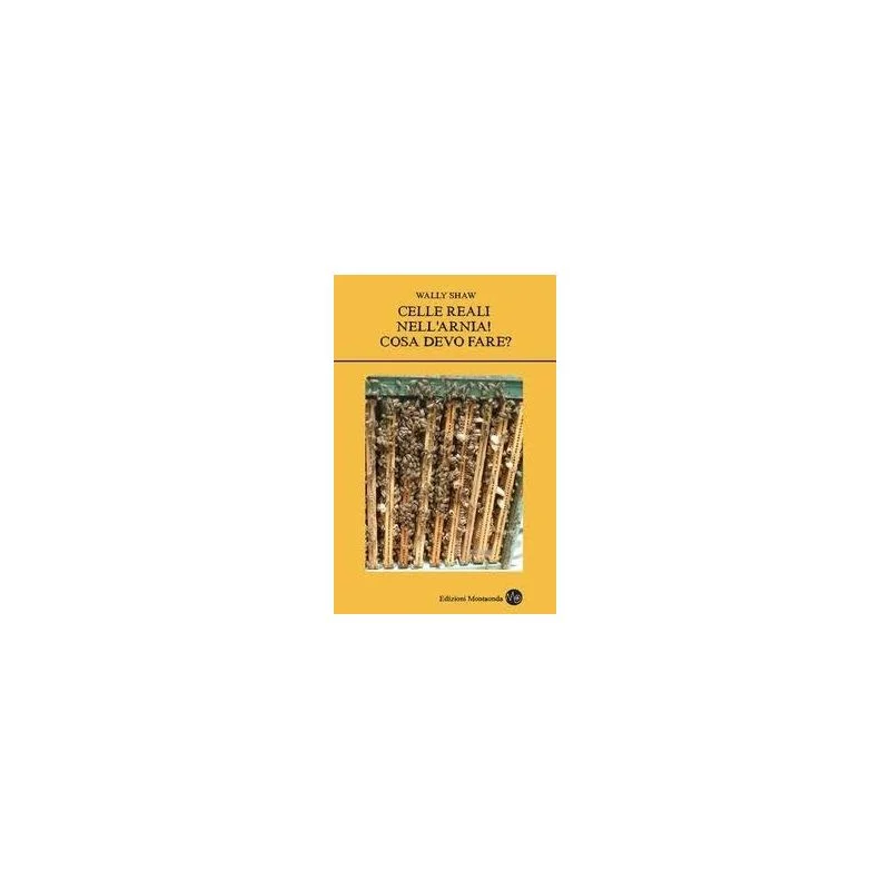 apistore1619879
