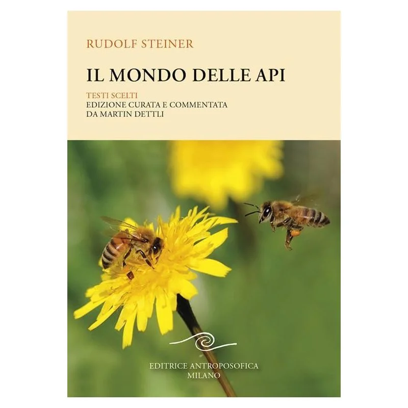 apistore1620294