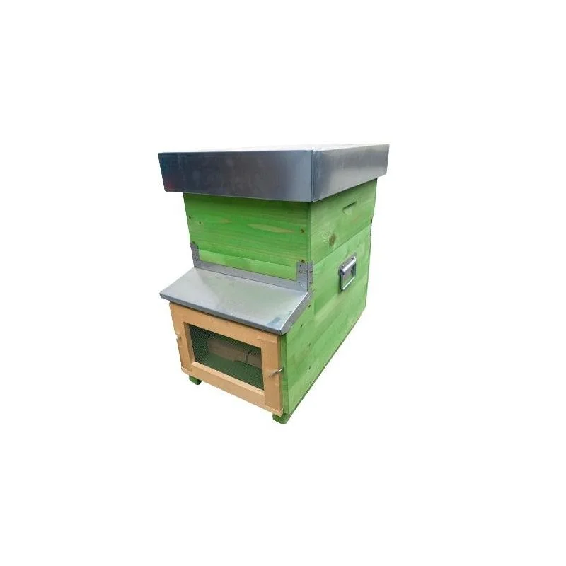 apistore1620433
