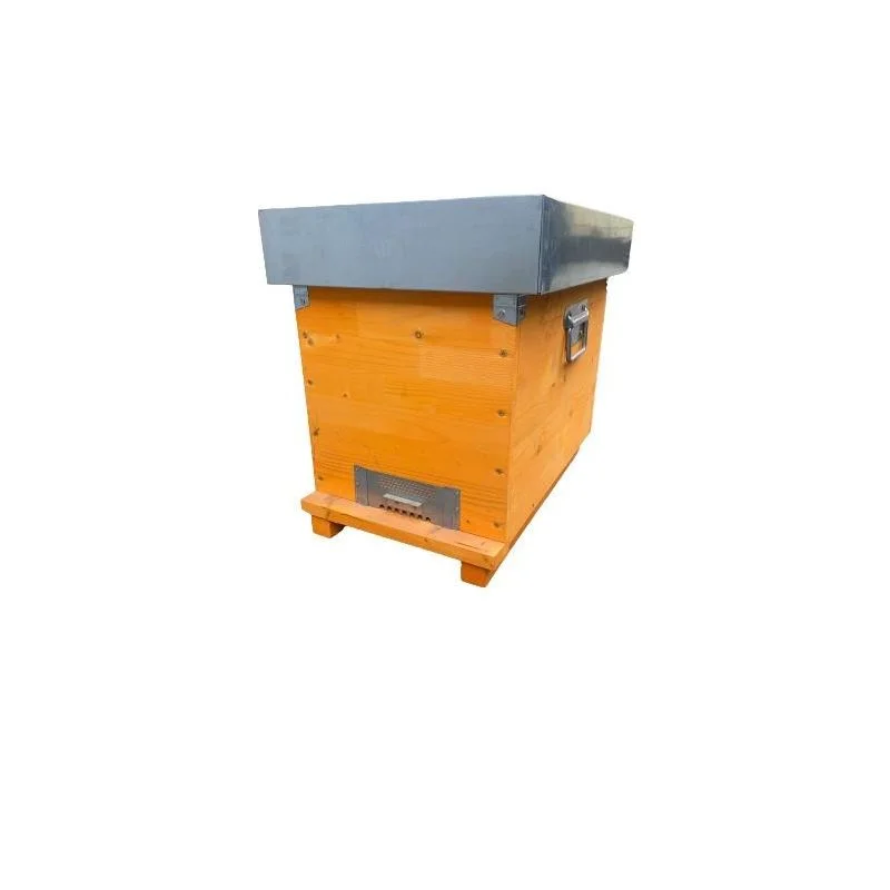apistore1620453
