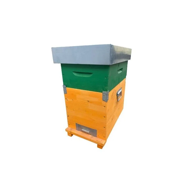 apistore1620463