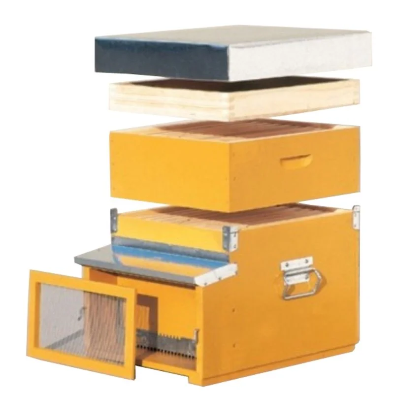 apistore1622466