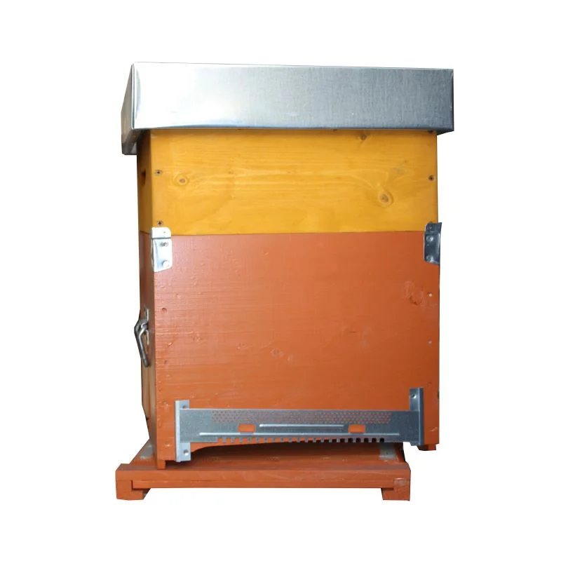 apistore1622511