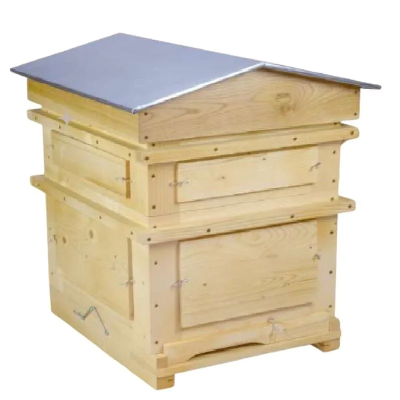 apistore1622838