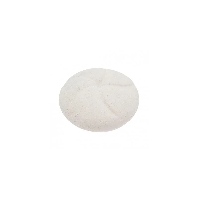 apistore1623551