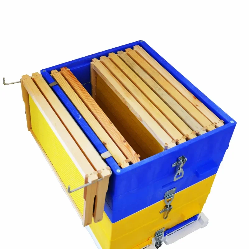 apistore1625835