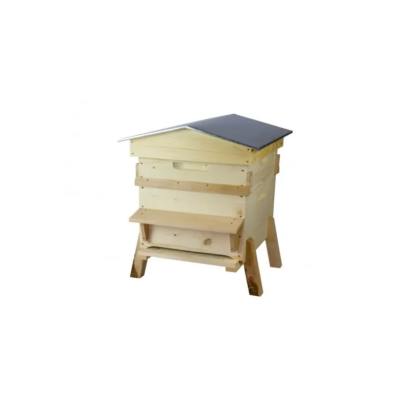 apistore1629947