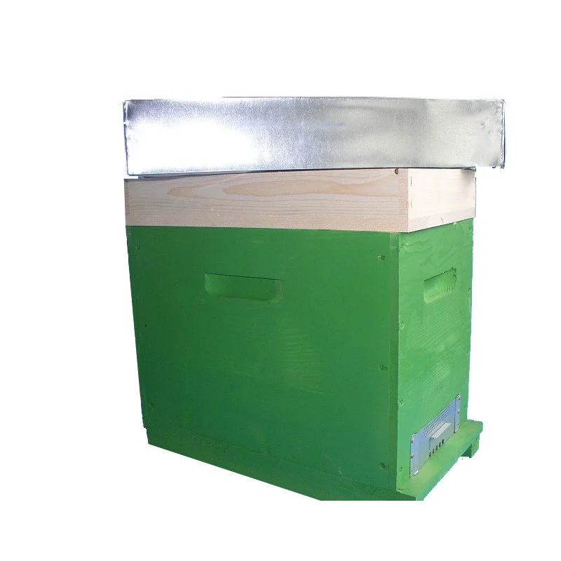 apistore1705362