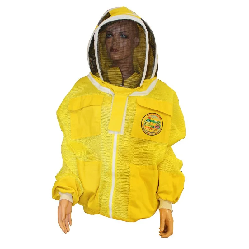 apistore1705901