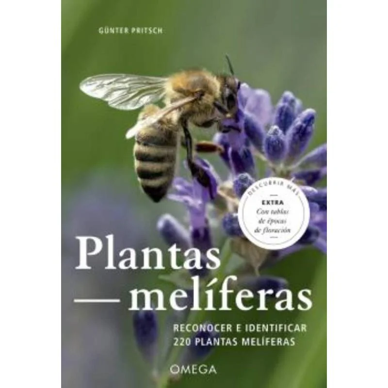 latiendadelapicultor1605359