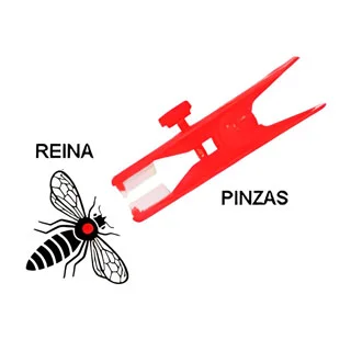 materielapiculture1627124