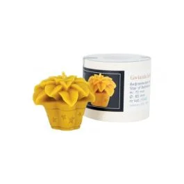 naturapi1615930