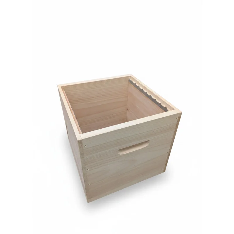 routedor1596438