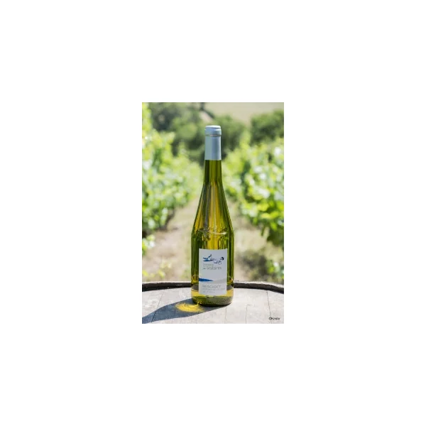 rucherdumoulin1812512